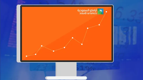 يعتبر اكتتاب أرامكو السعودية خطوة مهمة للمملكة نحو التحرر من الاعتماد على إيرادات النفط والتوجه نحو التنوع الاقتصادي