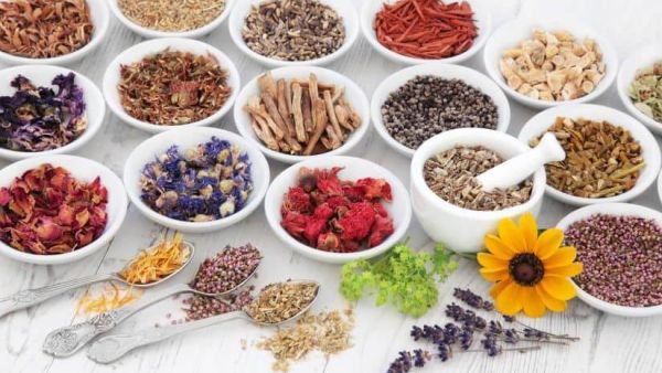خلطة تساعد على الحمل بعد الدورة وزيادة فرصة الإنجاب
