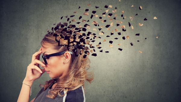 يميل الثور إلى امتلاك ذاكرة فوتوغرافية