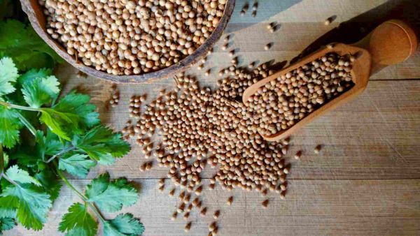 بذور البقدونس تعالج التهابات المسالك البولية