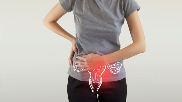 من أسباب ضعف بطانة الرحم انخفاض هرمون الأستروجين