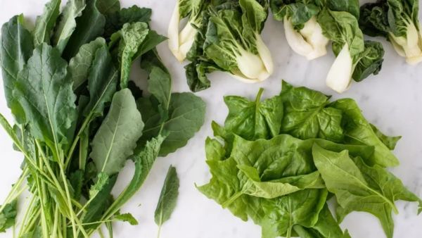 الخضروات الورقيّة تقلّلُ من خطر الإصابة بمرض هشاشة العظام