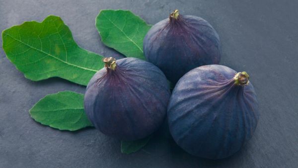 فوائد التين الأسود