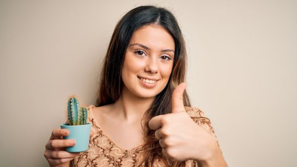 فوائد الصبار الصحية والجمالية