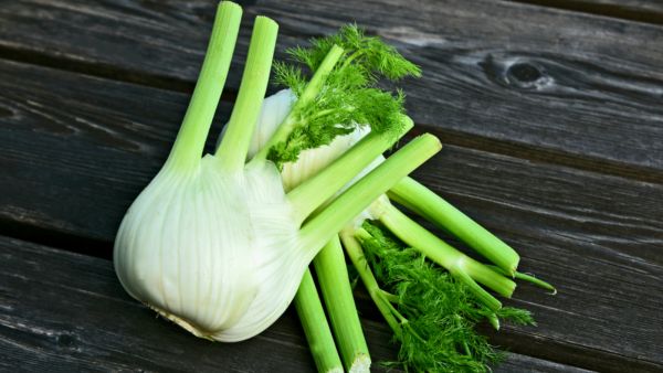 نبات الشمّر يسهّل عملية الولادة للمرأة الحامل