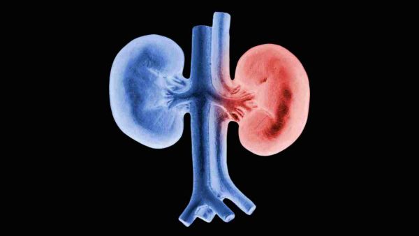 من أعراض الفشل الكلوي انخفاض كمية البول