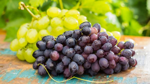العنب غني بمجموعة من الفيتامينات مثل الحديد، والكالسيوم، والمغنيسيوم