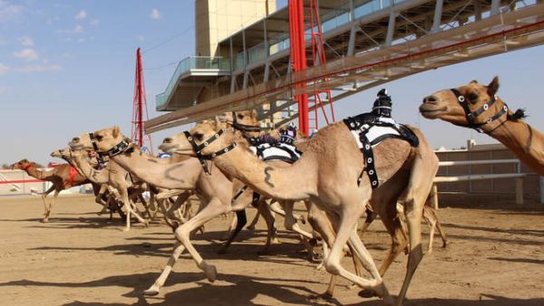 نجوم التلفزيون، والأفلام، والموسيقى في دبي