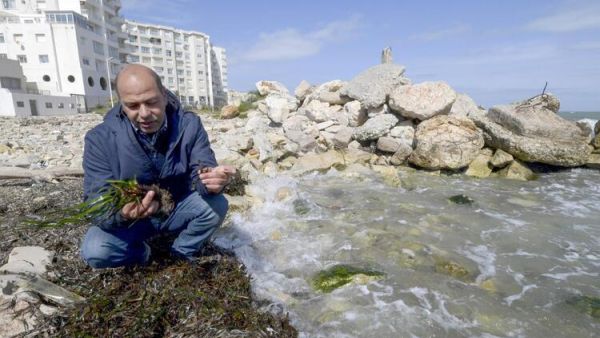 'Lungs of the Mediterranean' at Risk (AFP)