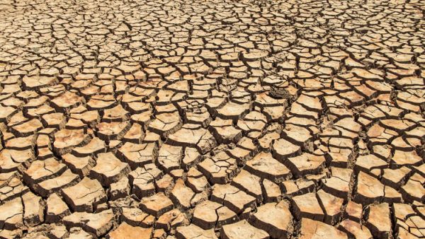 Eastern Africa Facing One of Its Worst Droughts in 40 Years