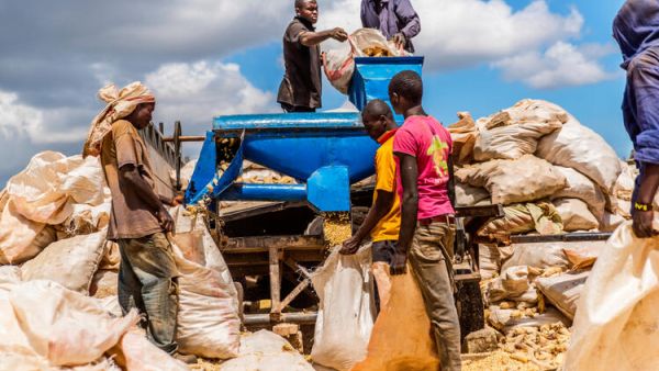 Millions Face Severe Food Insecurity in Africa
