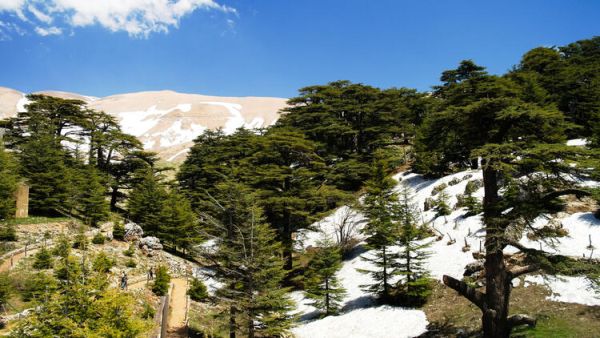 Must-See Middle East Nature Reserves