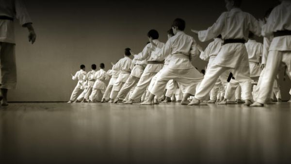 (Shutterstock archive)