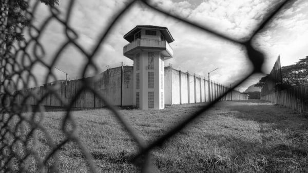 Palestinian Inmates Serving Life Sentences Get Their Poetry in Print