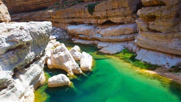 Vacation Hotspots in the Gulf