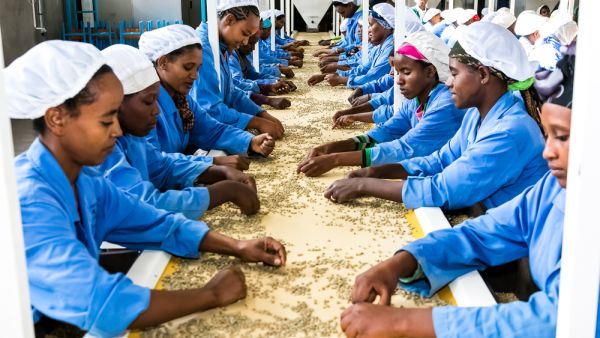 The workers would receive training in various sectors, including driving and nursing, and earn higher wages. 