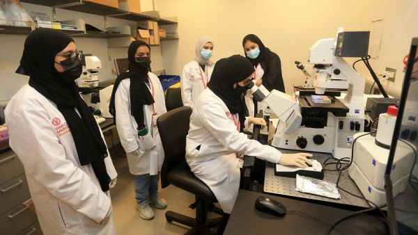 New WCM-Q Program ‘Science for Curious Minds’ Inspires High School Students