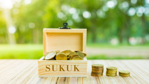 Emirates REIT Withdraws Plan To Offer $400 Million Sukuk
