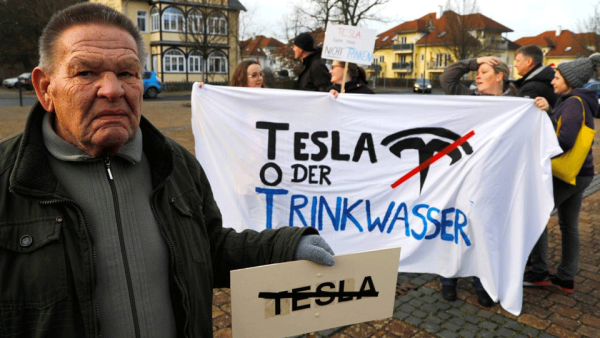 Germany Orders Tesla to Stop Cutting Down Trees for Gigafactory
