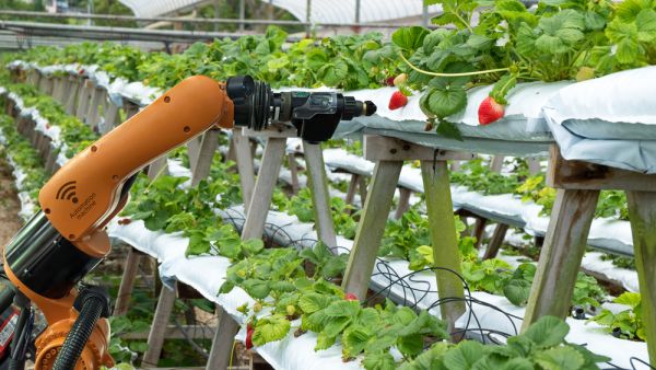 The components of the Fourth Industrial Revolution such as Big Data, the Internet of Things, and artificial intelligence are being integrated throughout the agriculture supply chain.