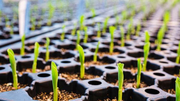 Saudi AgTech Firm Secures $10 Million In Investments