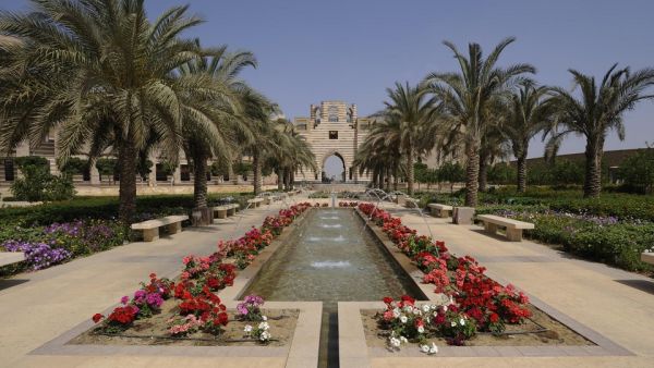 AUC Joins UN’s Race to Zero Campaign