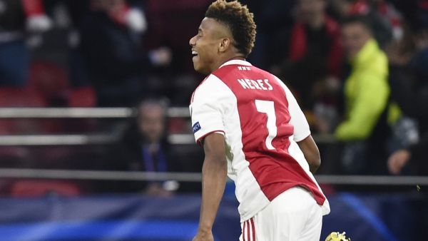 دافيد نيريس