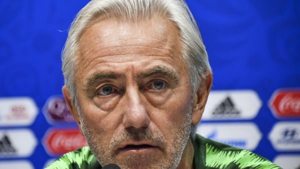 UAE coach Bert van Marwijk