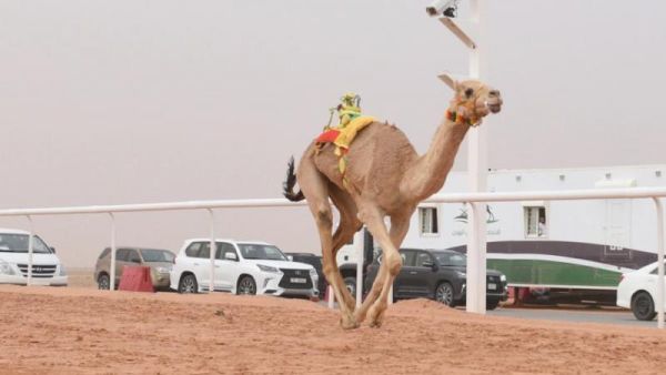 The first races at Sharm el-Sheikh coincided with preparations for the African Cup of Nations June 21-July 19, further evidence of using sporting events as strong magnets for tourists. (Photo: The Arab Weekly)