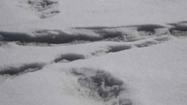The Indian Army's mountain expedition team tweeted photos of what it called "mysterious footprints." (Photo courtesy the Indian Army/Twitter)