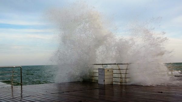 (Shutterstock/ File Photo)