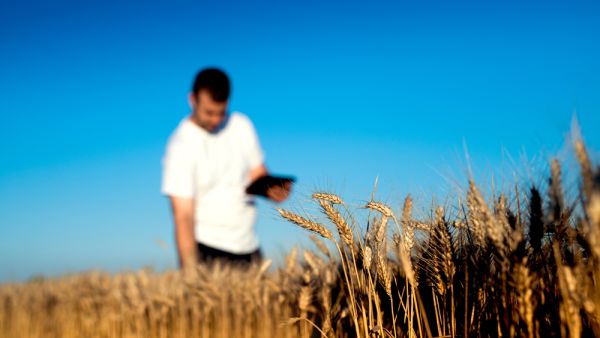 (Shutterstock/ File Photo)