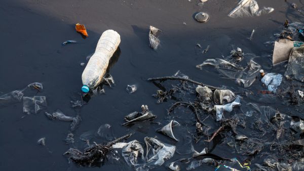 (Shutterstock/ File Photo)