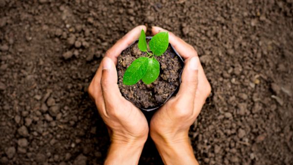 (Shutterstock/ File Photo)