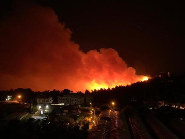 More than 100 firefighters from 20 Civil Defense stations cooperated with the Army to extinguish the massive fire. (Twitter)