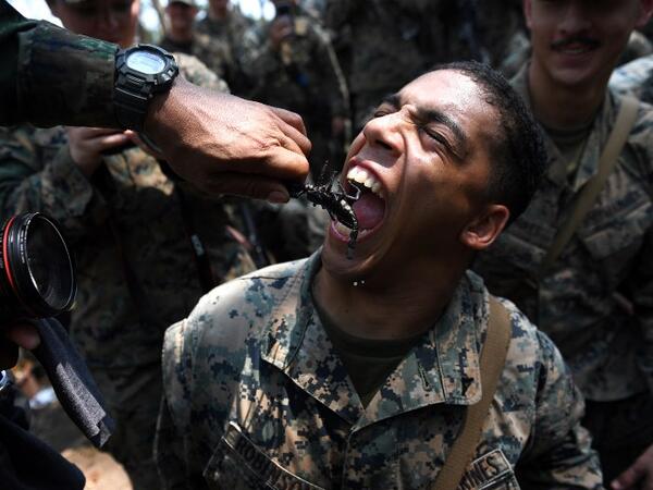 A US Marine eats a scorpion during a jungle survival training with Thai soldiers in the joint 'Cobra Gold' military exercise in Chantaburi province 
Lillian SUWANRUMPHA / AFP