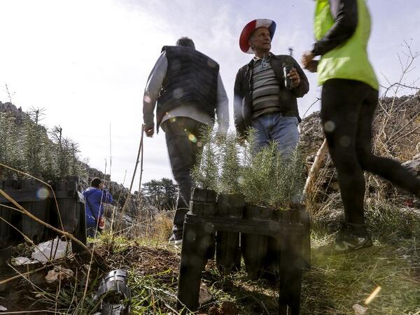 Activists from Lebanese NGO Jouzour Loubnan ("Roots of Lebanon") gather to plant young cedars on the slopes of the Jaj Cedar Reserve Forest in the Lebanon mountains, northeast of the capital Beirut in a joint initiative in partnernship with the Lebanese Army to mark the 75th anniversary of the country's independence. 
JOSEPH EID / AFP