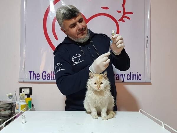 (Twitter/@theAleppoCatman)