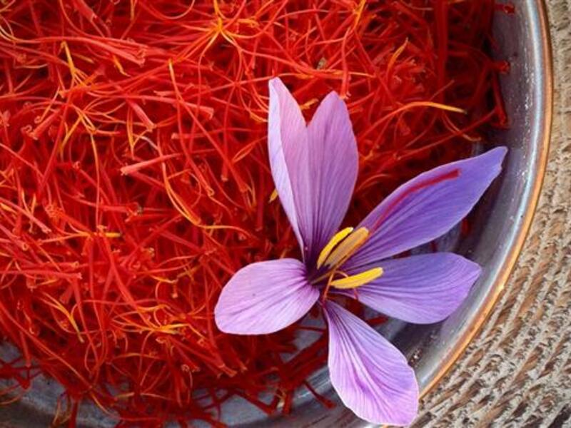 Exporters and farmers have been lamenting that underpricing has caused a surge in the smuggling of saffron to neighboring Afghanistan.