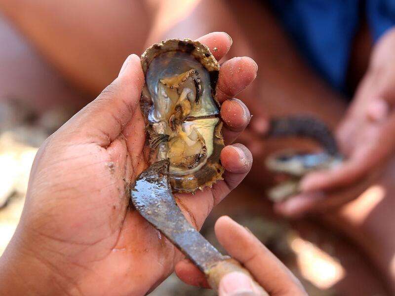 Pearl-diving trips are held annually under the patronage of the Kuwaiti emir in order to keep alive traditions that accompanied the once important national trade of pearl diving, prior to the discovery of oil. Yasser Al-Zayyat / AFP