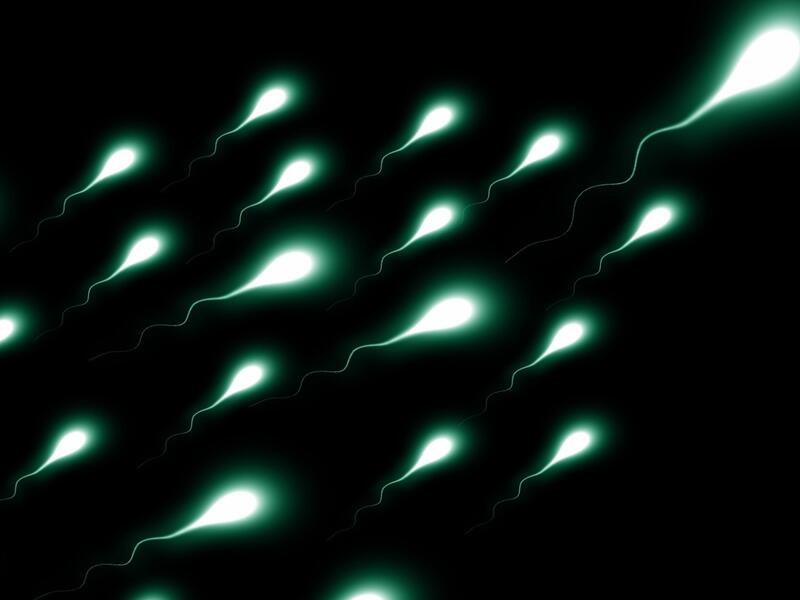 هل من الآمن ابتلاع الحيوانات المنوية أثناء الحمل؟