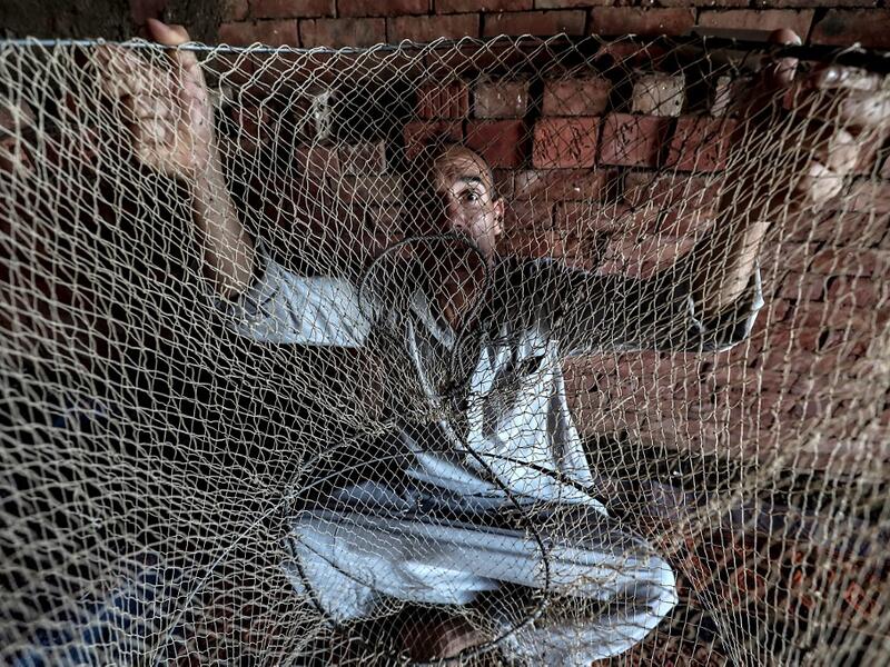 The "Pharaonic Sea" is the name of a large water body in the province of Monufia, an area of 2500 acres and overlooking 50 villages. Mohamed el-Shahed / AFP