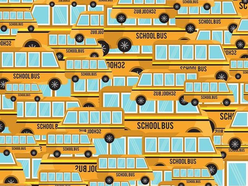 The latest brainteaser, created by GoSimpleTax, challenges puzzlers to find the pencil case staple among the school buses (dailymail.co.uk)