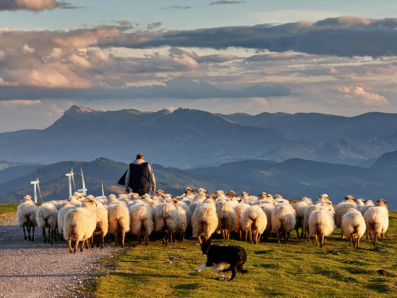 (Shutterstock/ File Photo)