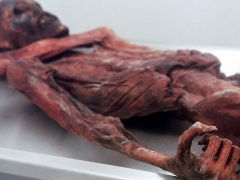 Ancient Mummies (Twitter)