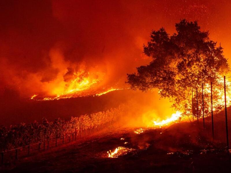 Flames enter a vineyard during the Kincade fire near Geyserville, California. (Photo by Josh Edelson / AFP)