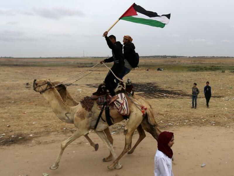 Camel near Palestinian bystanders during a local camel race held at the destroyed Gaza airport in Rafah in the southern Gaza Strip (Twitter)