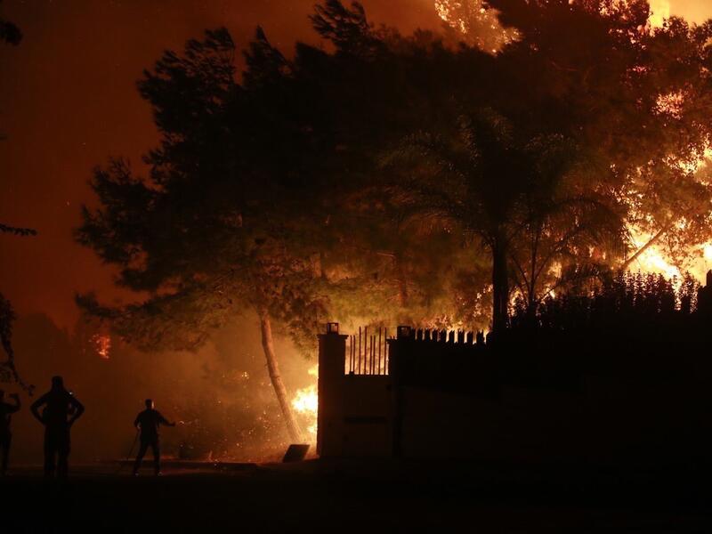 Sidon Fire Department and the Lebanese Army worked to put out the fire in the early hours of Monday, after it reportedly broke out at around 4:30 a.m. (Twitter)