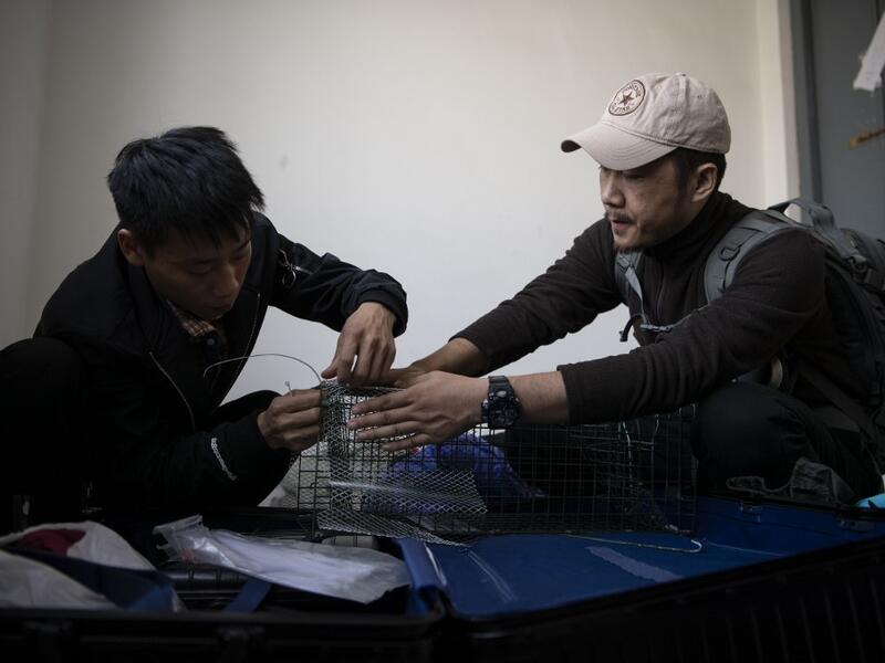 This photo taken on October 23, 2019 shows pet detective Sun Jinrong (R) and his assistant preparing a trap as they search for a missing cat in a residential compound in Beijing. Private sleuth Sun Jinrong brings heat detectors, tiny surveillance cameras, and a blowdart loaded with a tranquiliser to his search for one desperate client's missing loved one: A cat named Duoduo.  NOEL CELIS / AFP