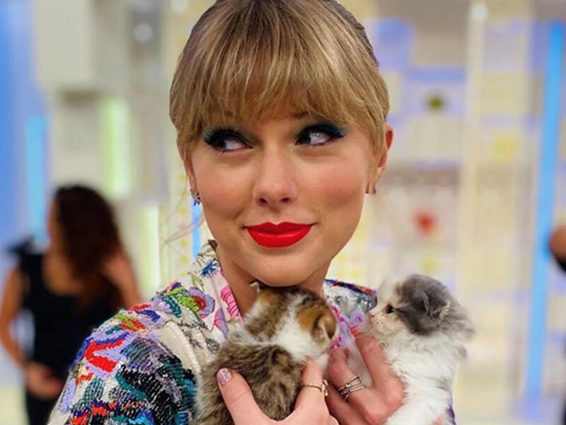 Taylor has just landed into Tokyo